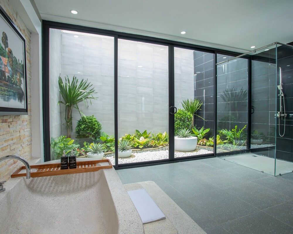 Paddy Suite