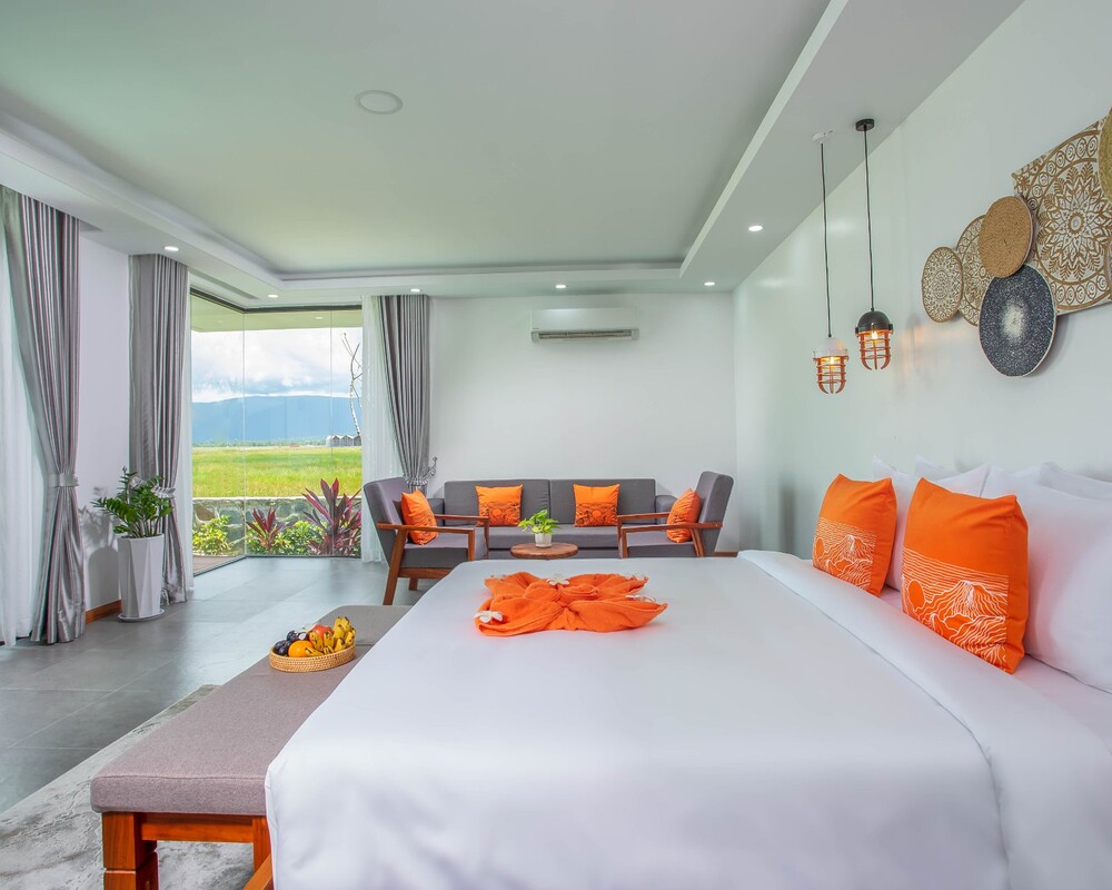 Paddy Suite