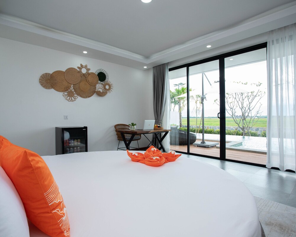 Paddy Suite